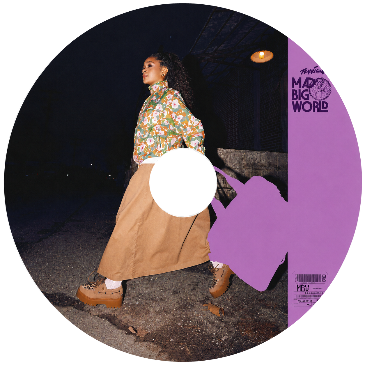 Mad Big World picture disc